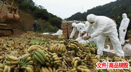 酒類銷毀
